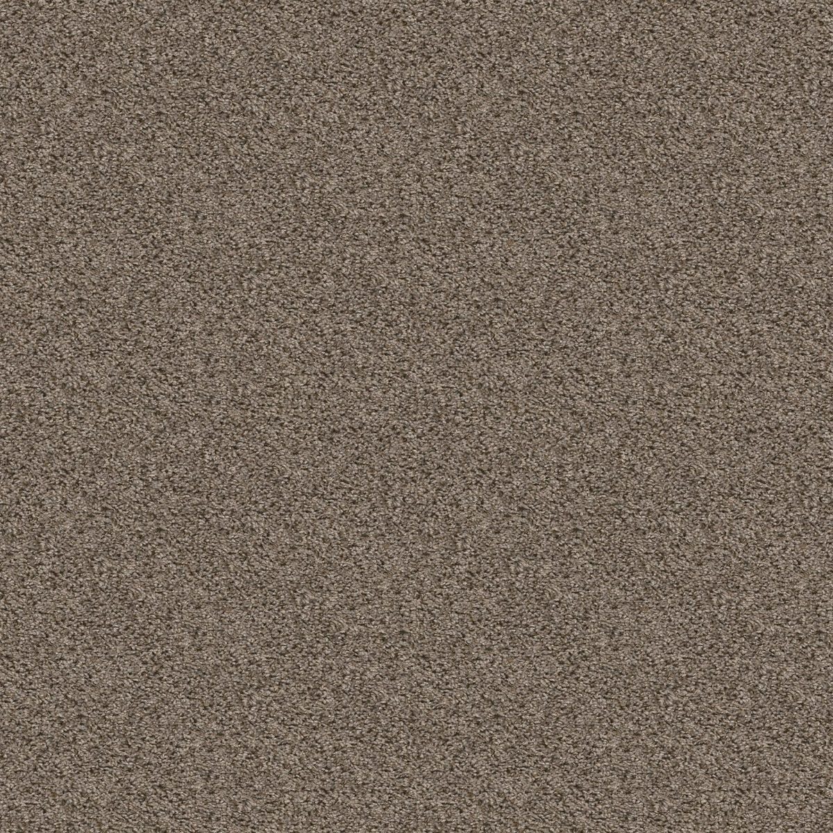 Shaw Floors Break Away (T) Nature Trail flooring