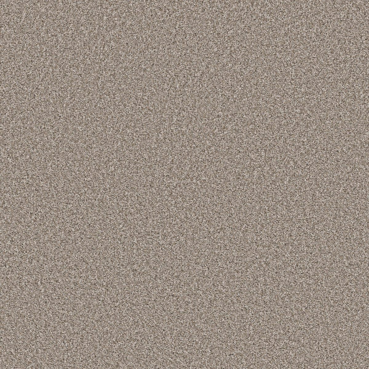 Shaw Floors Soft Radiance Daytona Sand flooring