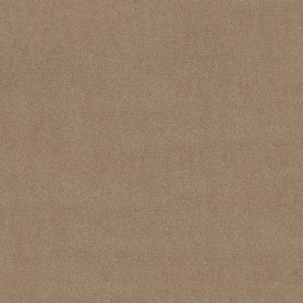 Shaw Floors Las Cruces Hickory flooring