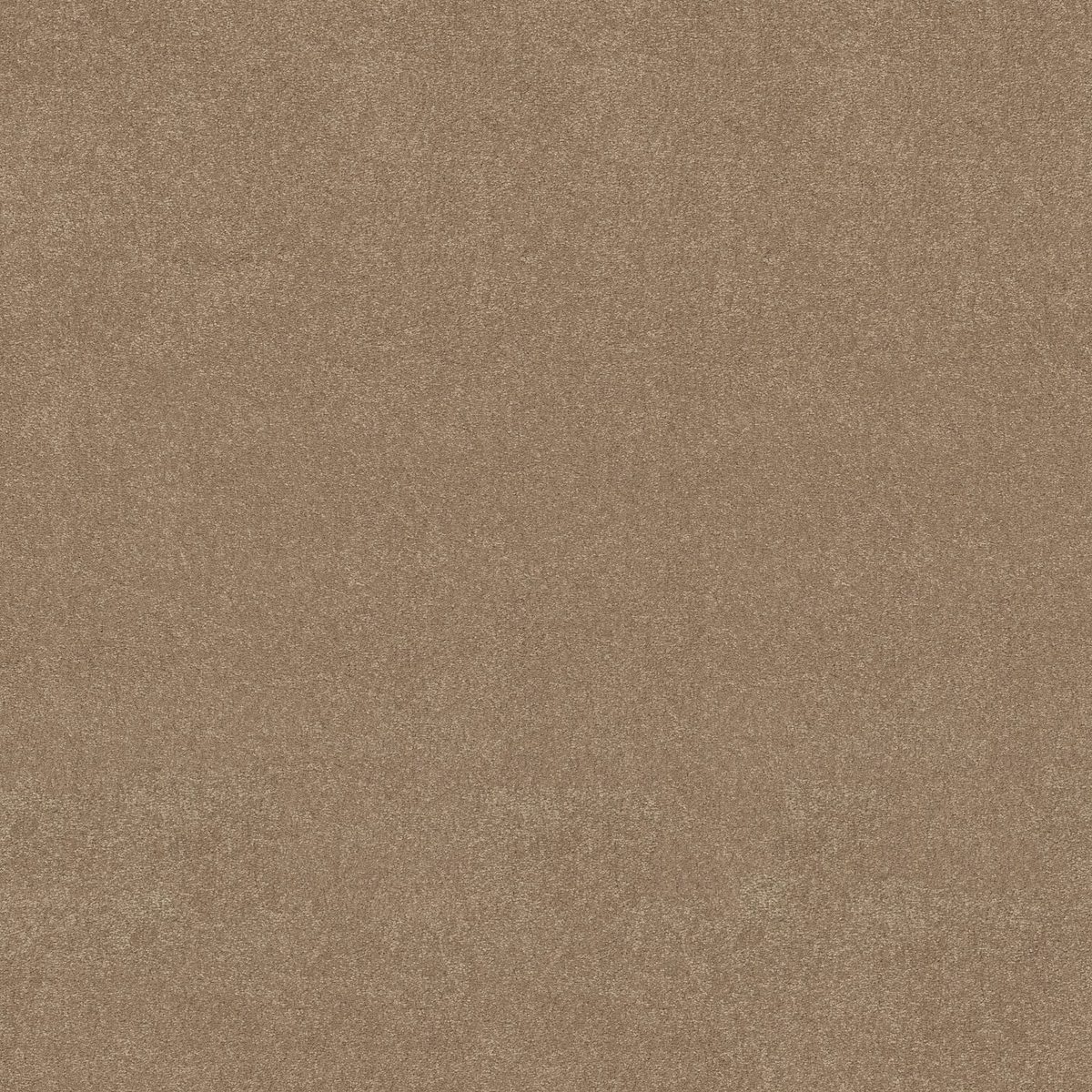 Shaw Floors Easy Spirit II Stone House flooring