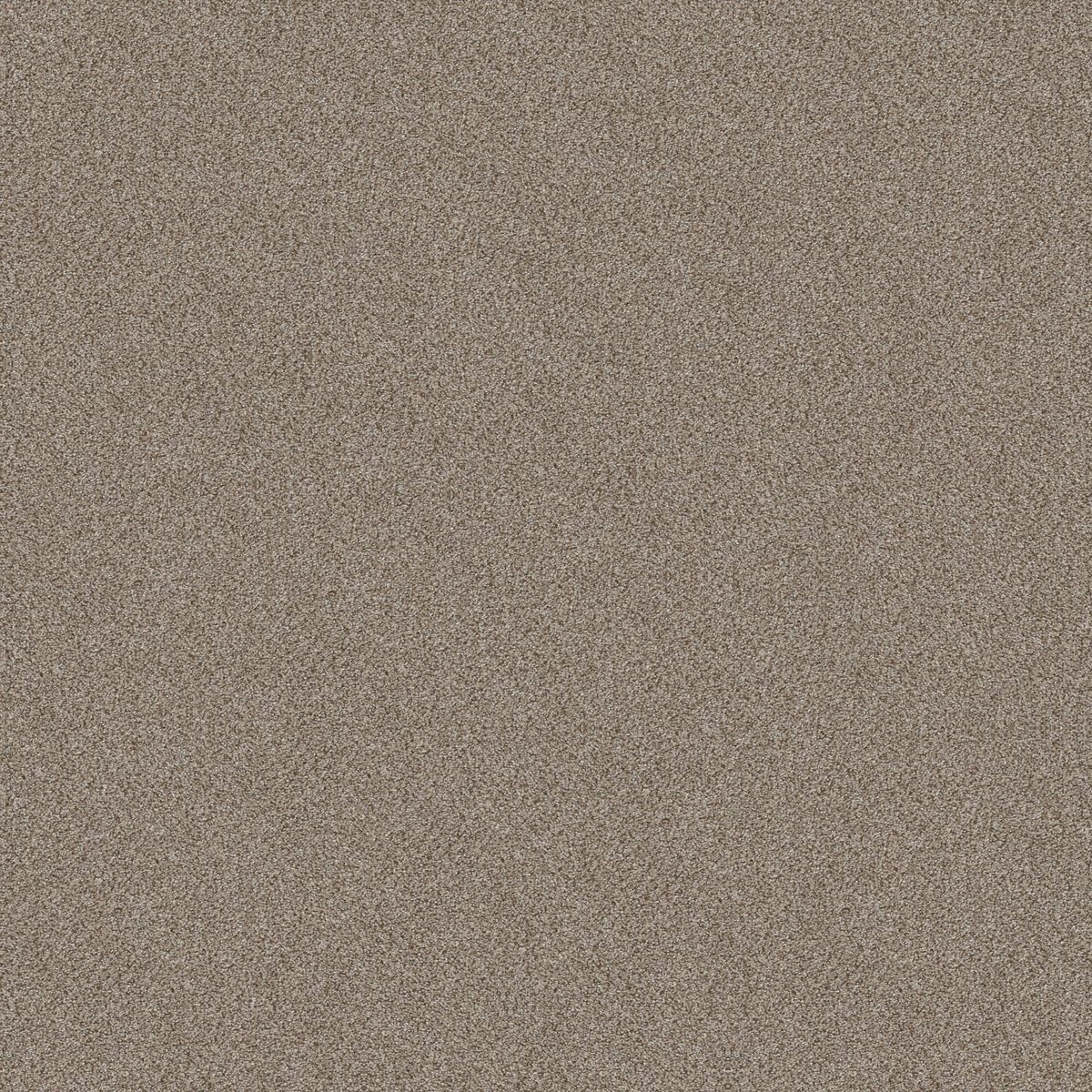 Shaw Floors TruSplendor Timeless Tan flooring