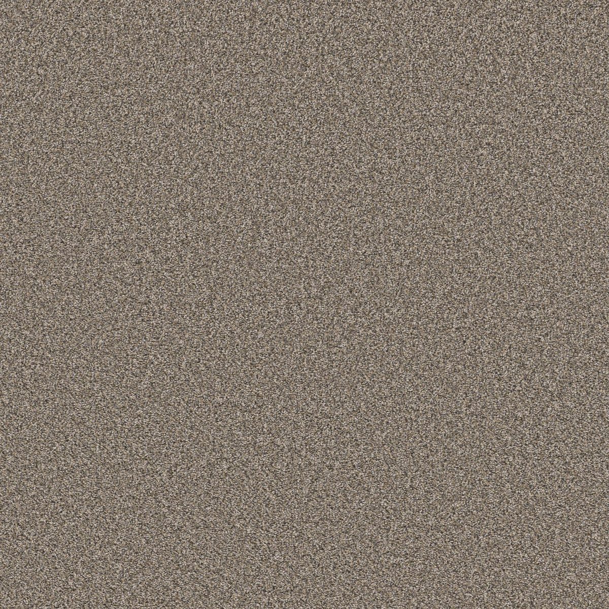 Shaw Floors Soft Radiance Nutria flooring
