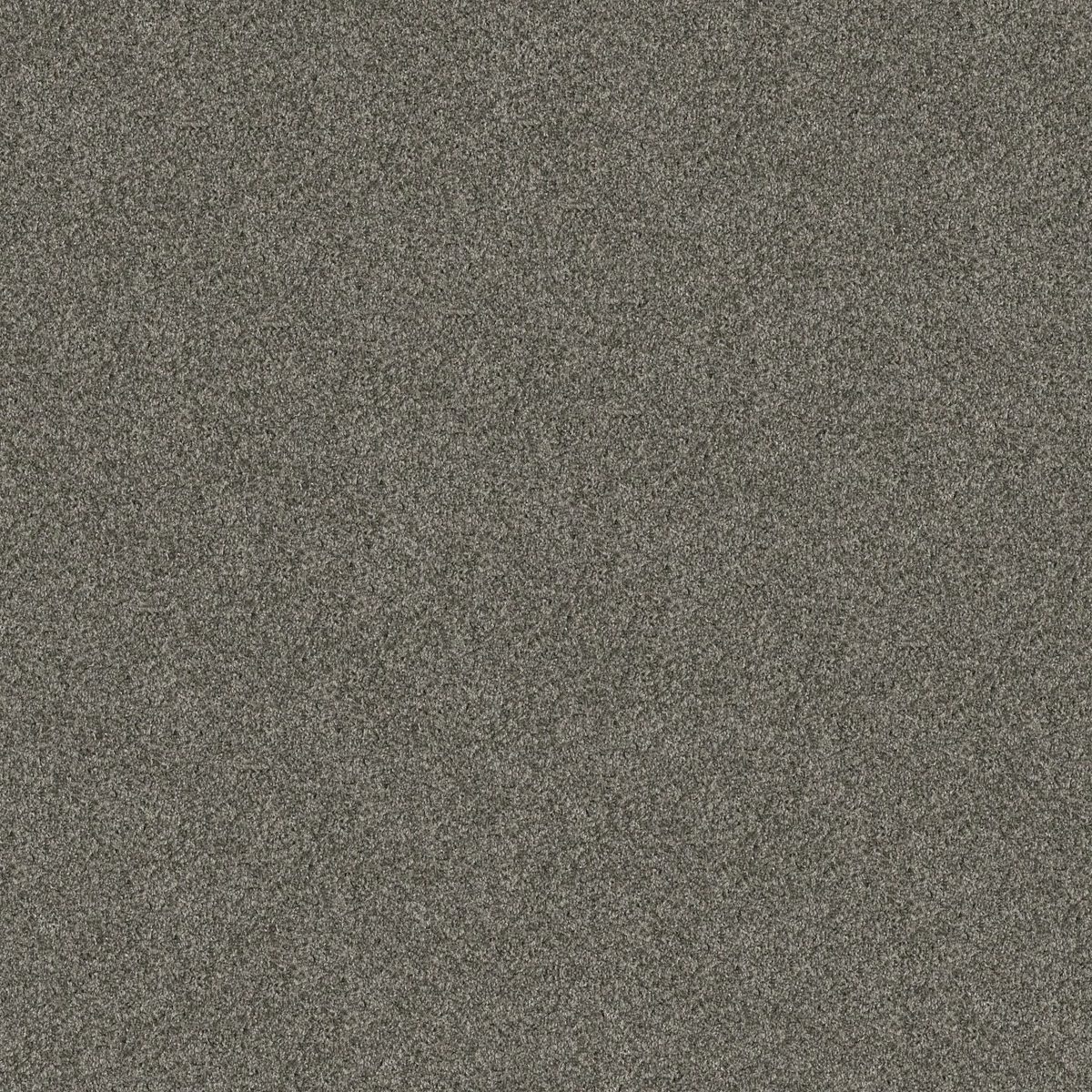 Shaw Floors Yes You Can II 12' Rerooted Nature flooring