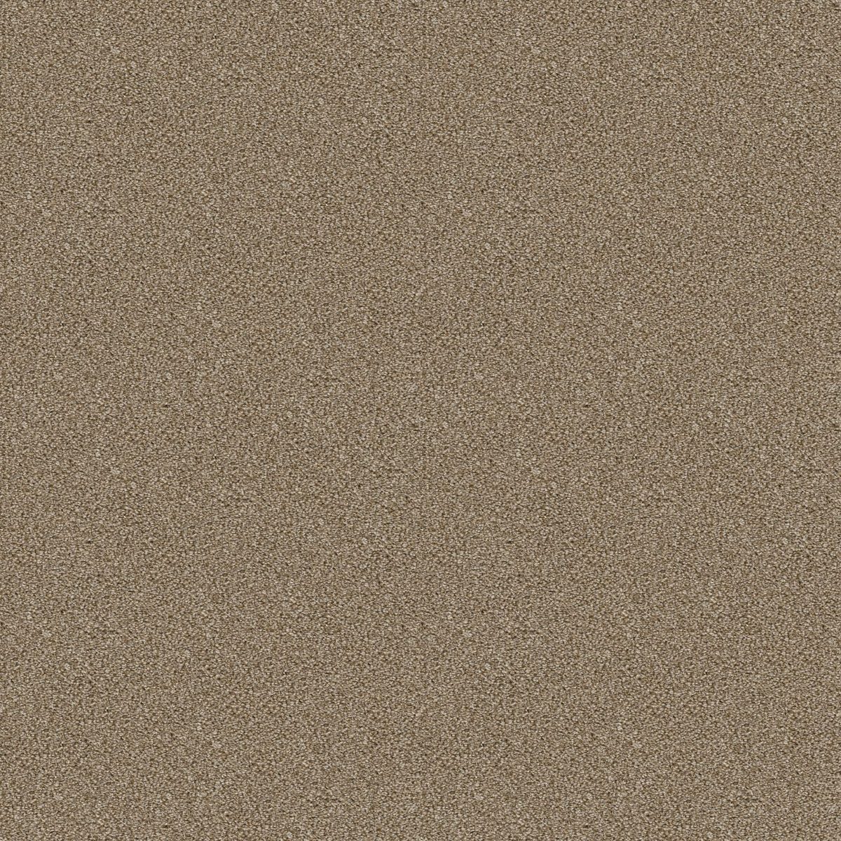 Shaw Floors Cabana Bay (T) Dried Clay flooring