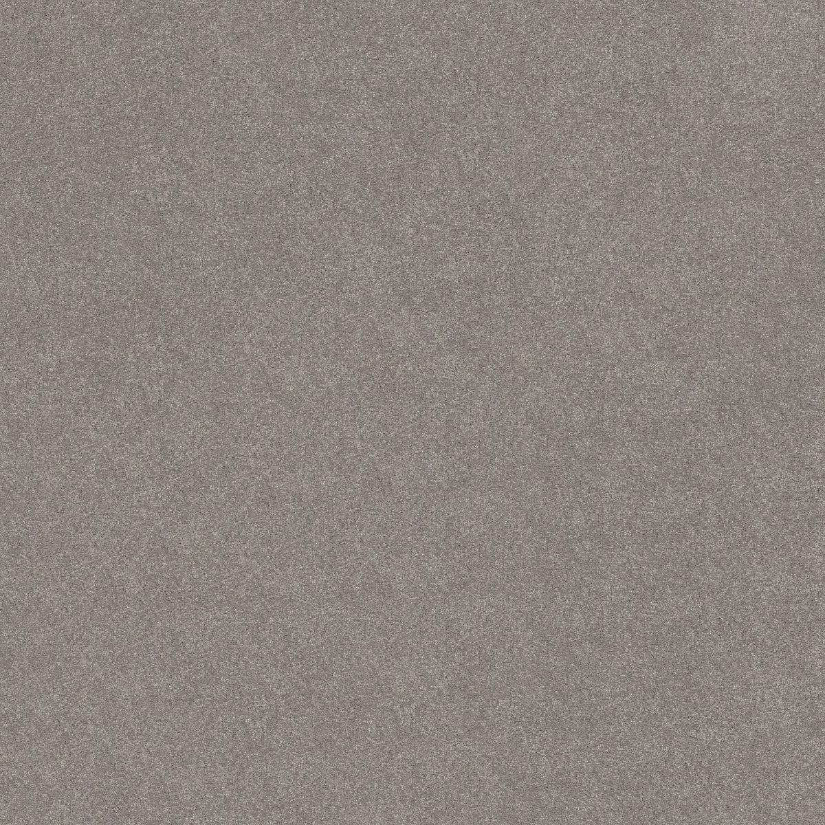 Shaw Floors Easy Spirit II Dusty Trail flooring