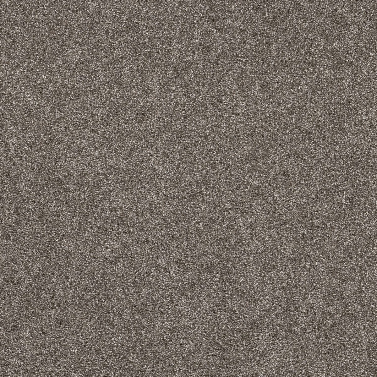 Shaw Floors Yes You Can II 12' Ashes flooring
