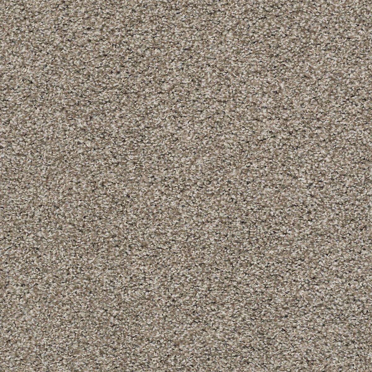 Shaw Floors Poised Studio Loft flooring