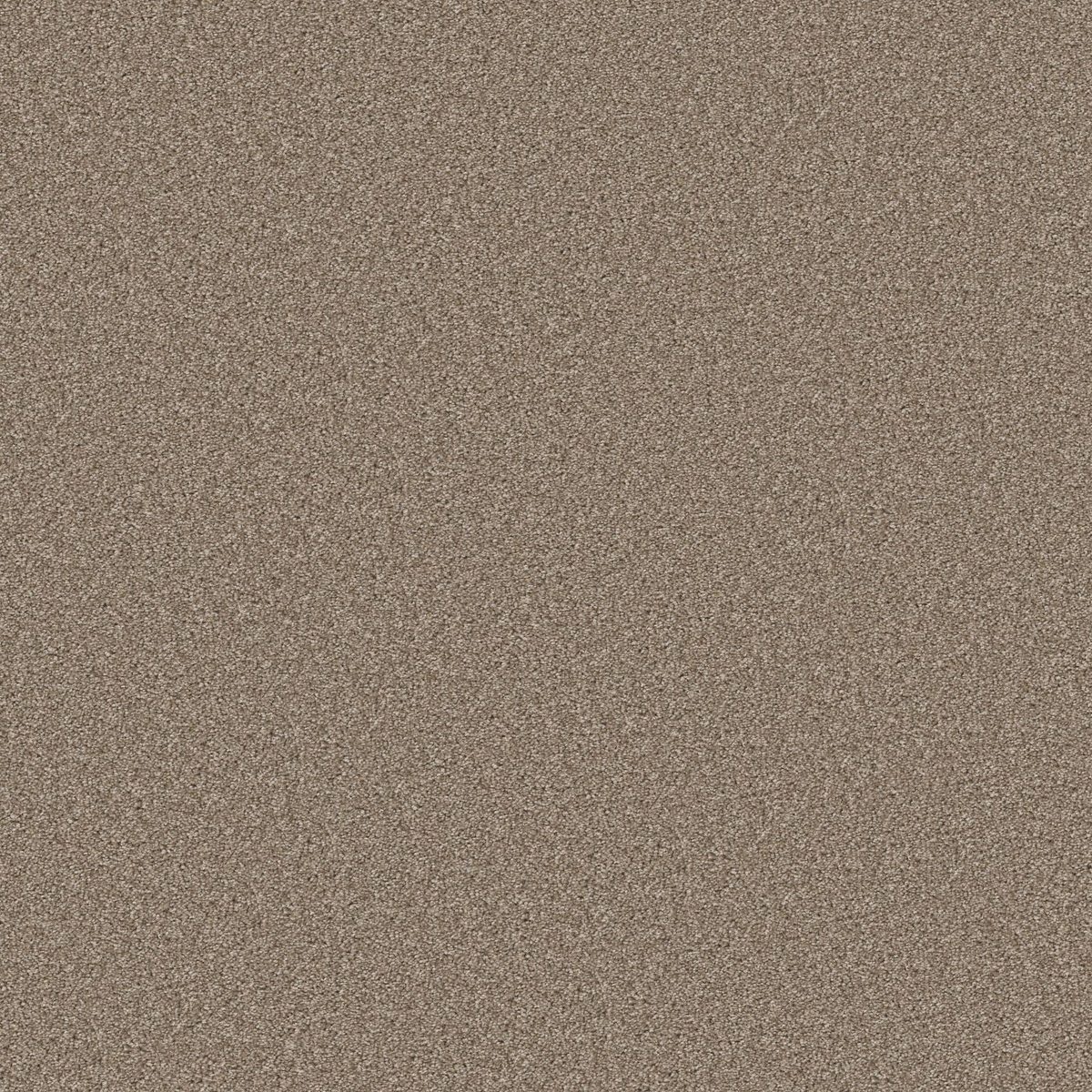 Shaw Floors Good Move III Grecian Tan flooring