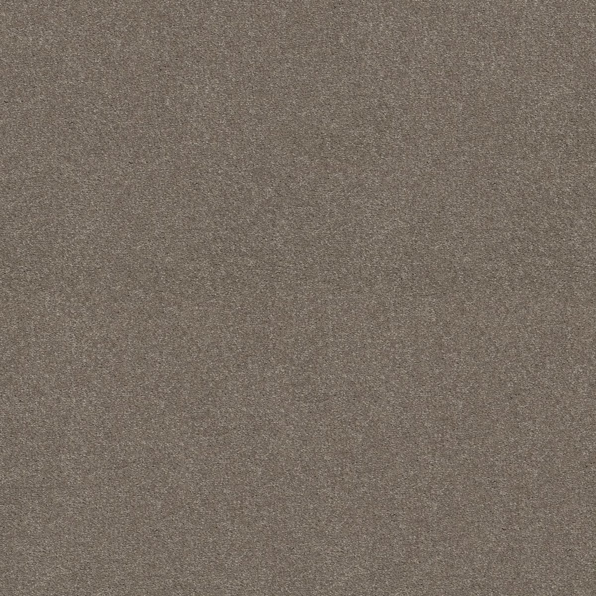 Shaw Floors Attainable (Solid) Smooth Taupe flooring