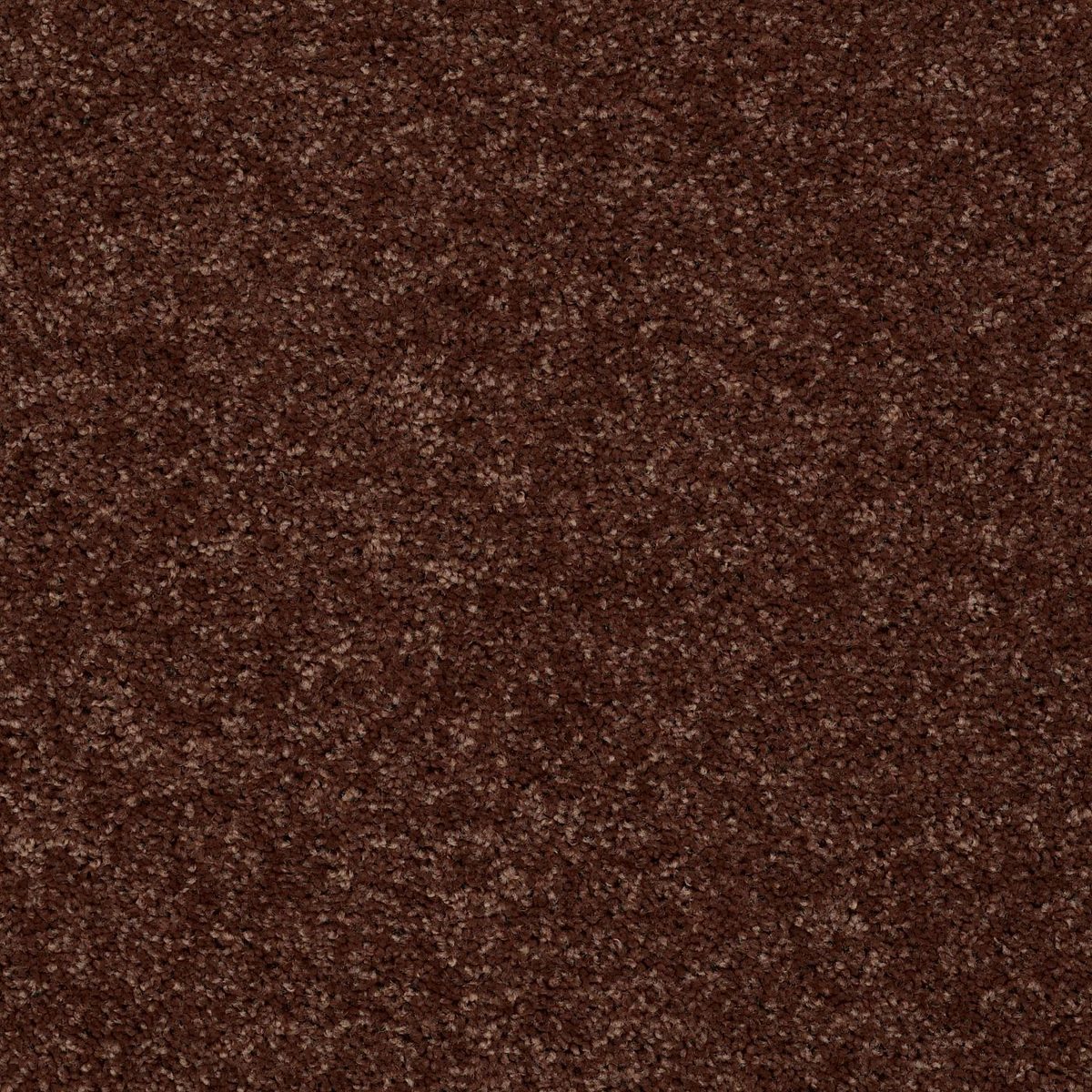 Shaw Floors All Star Weekend II Flower Pot flooring