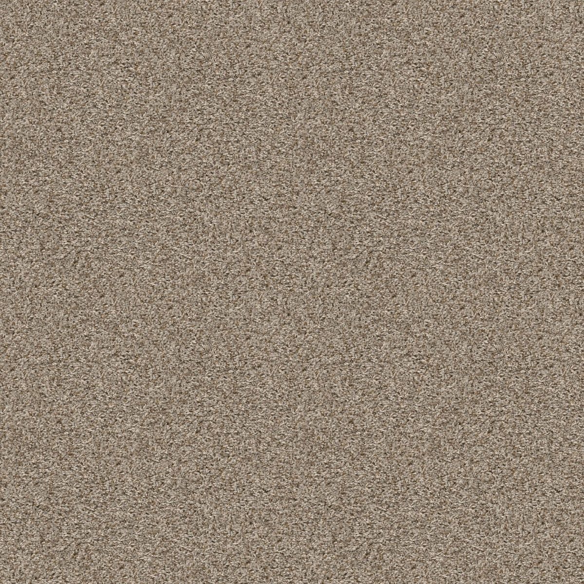 Shaw Floors Break Away (T) Flax flooring