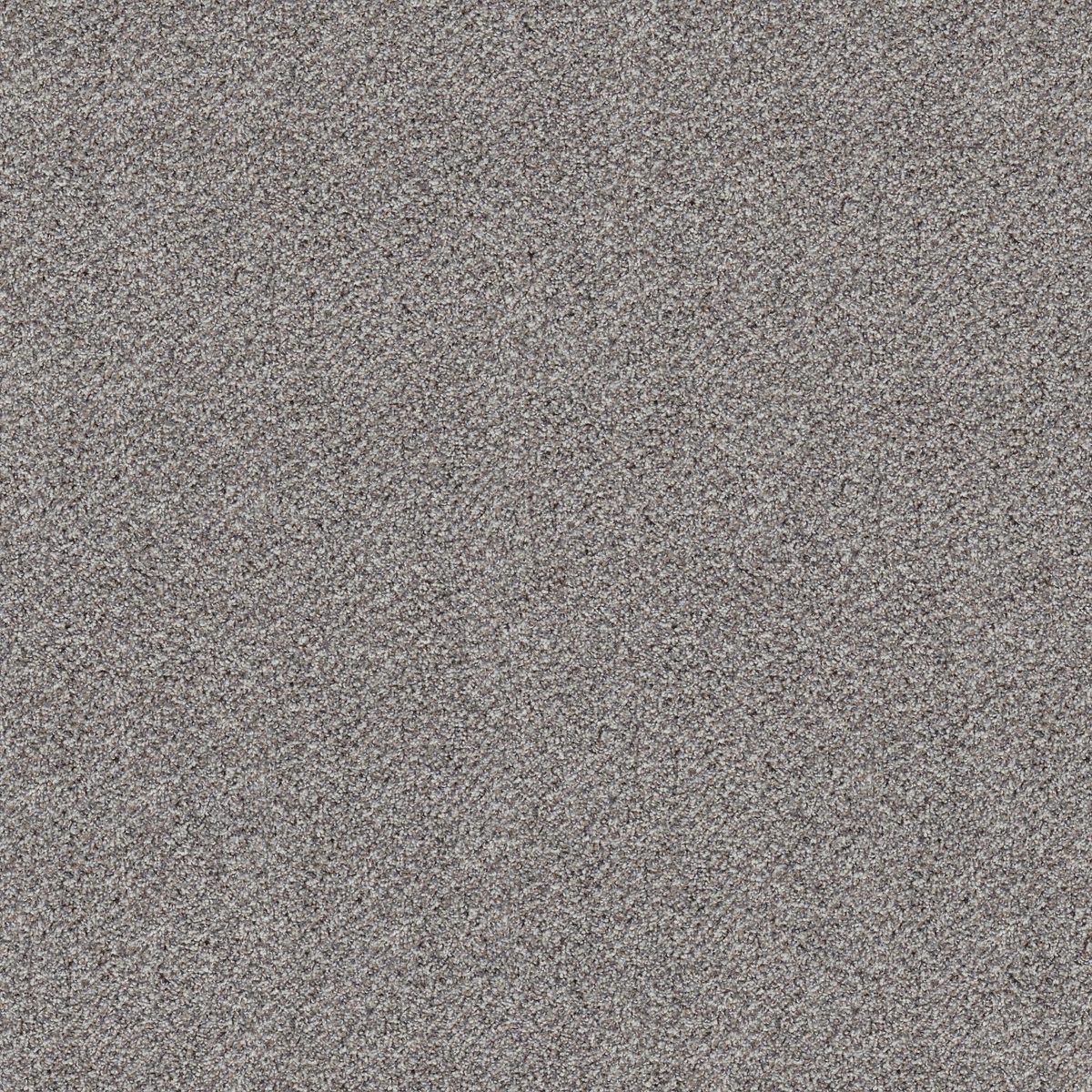 Shaw Floors Break Free Soft Pewter flooring