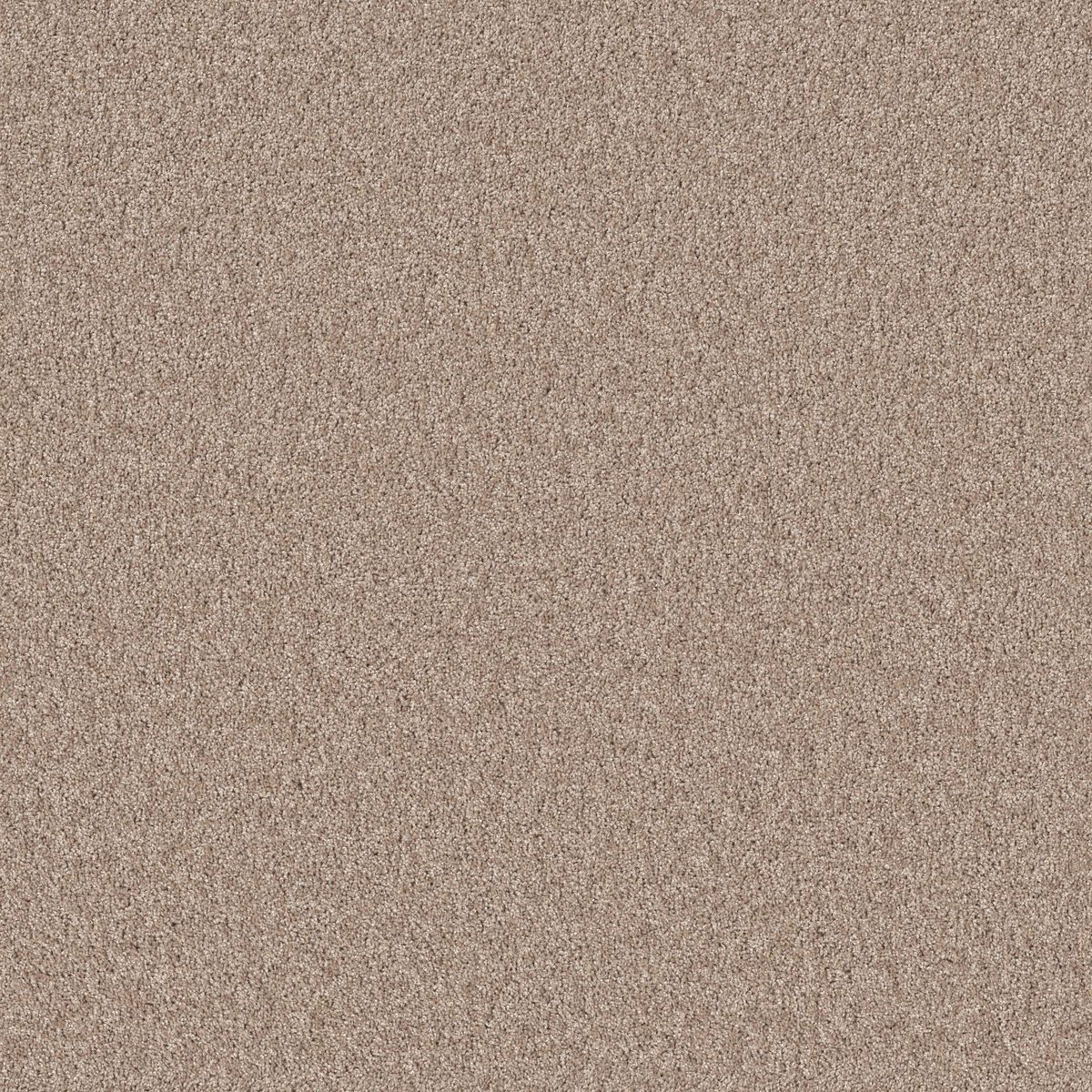 Shaw Floors Agility Croissant flooring
