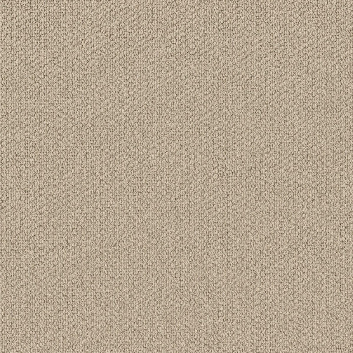 Shaw Floors Cathedral Hill II Enlightened flooring