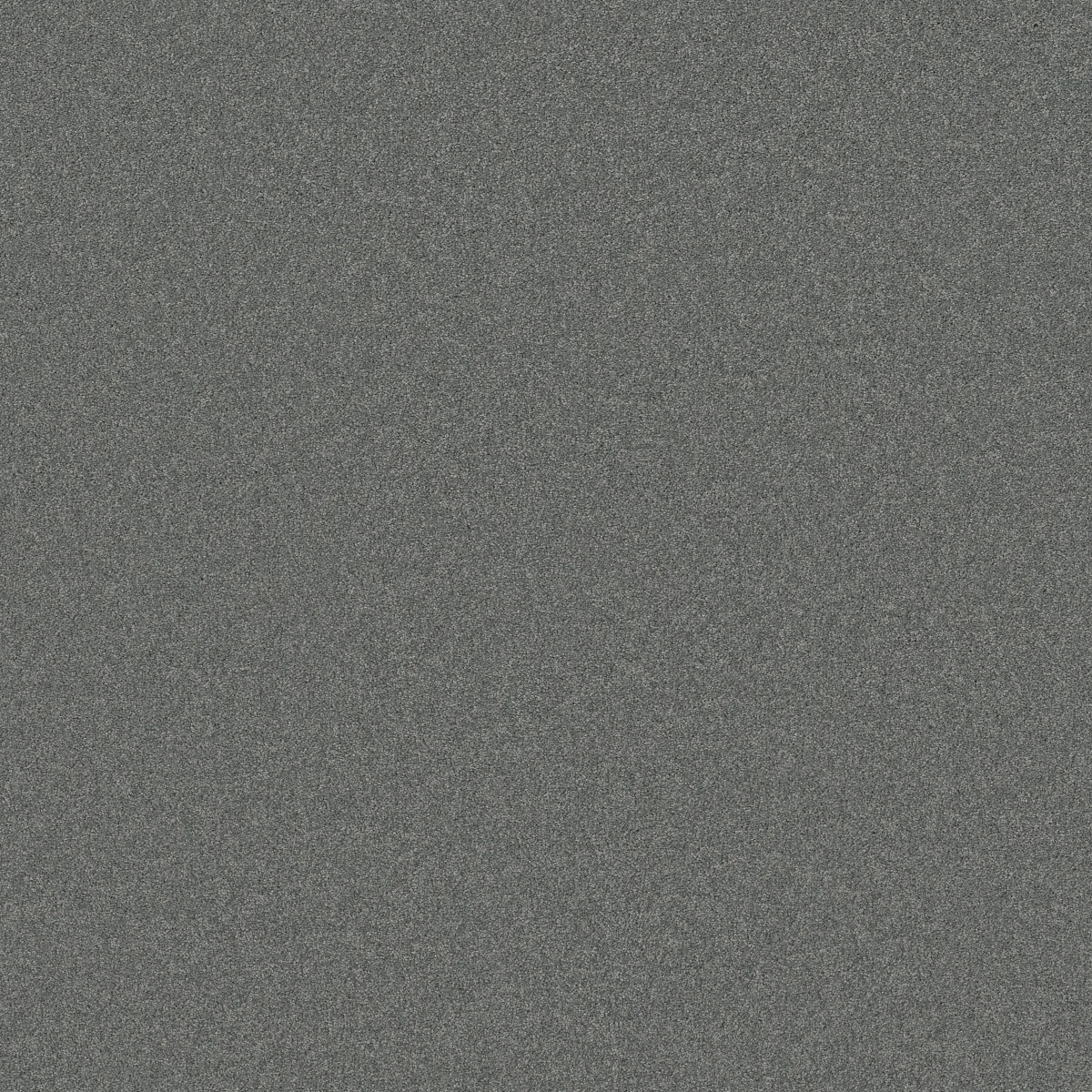 Shaw Floors Your Comfort I Lighthouse Shadows flooring