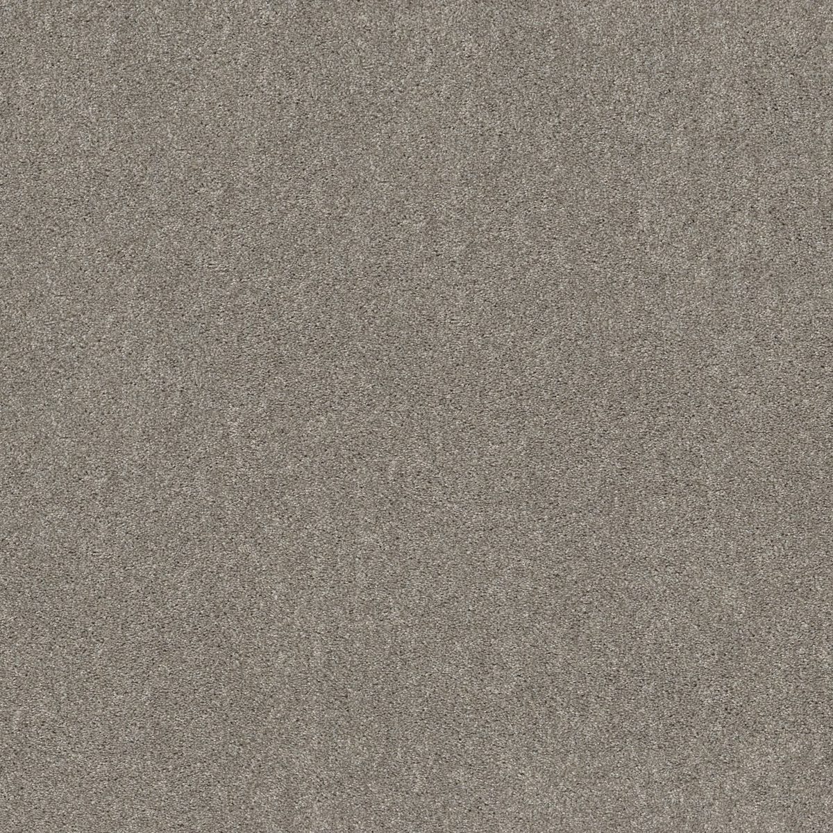 Shaw Floors Hot Topic Flannel Gray flooring
