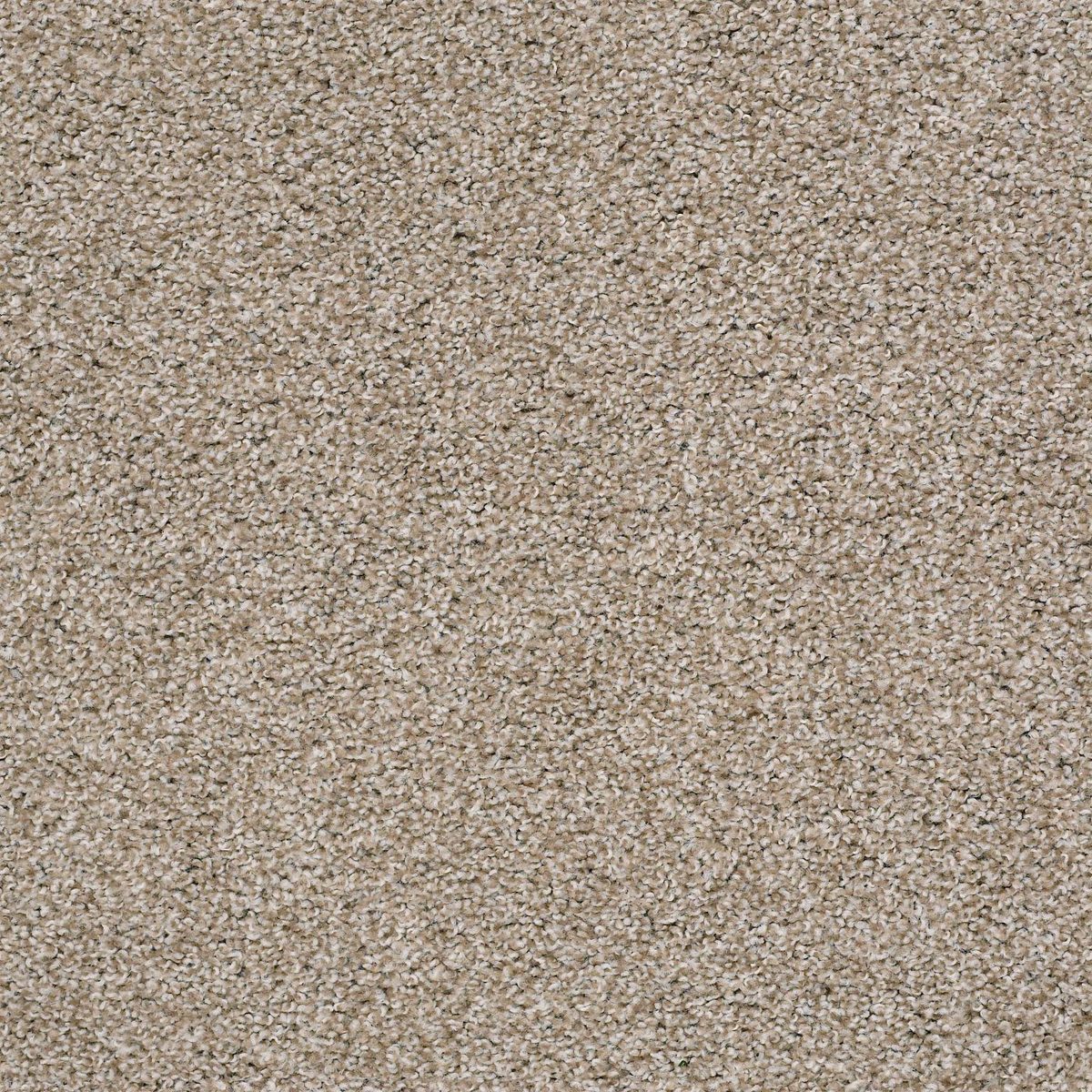 Shaw Floors Poised Quiet Tan flooring