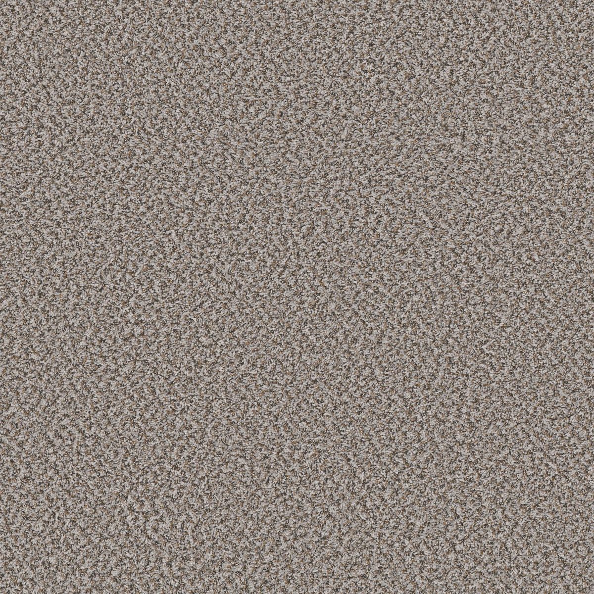 Shaw Floors Break Away (B) Clam Shell flooring