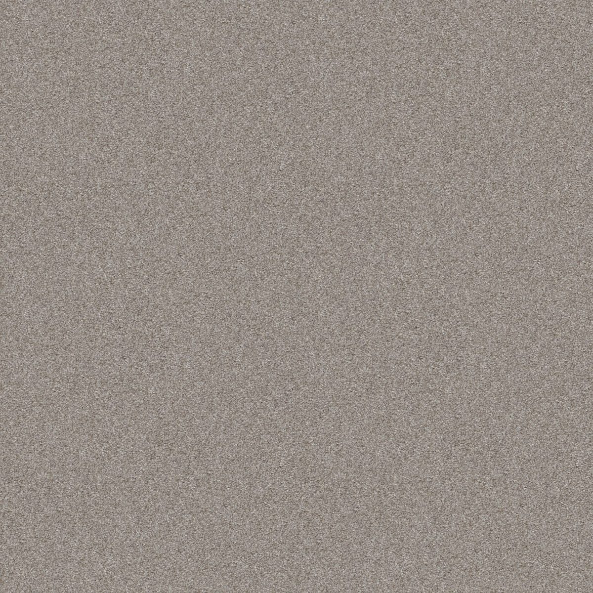 Shaw Floors Cabana Bay (T) Fog flooring