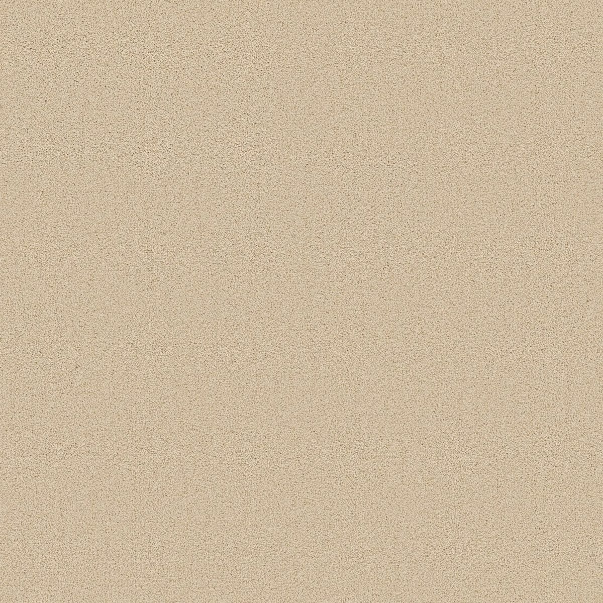 Shaw Floors Las Cruces Plaster flooring
