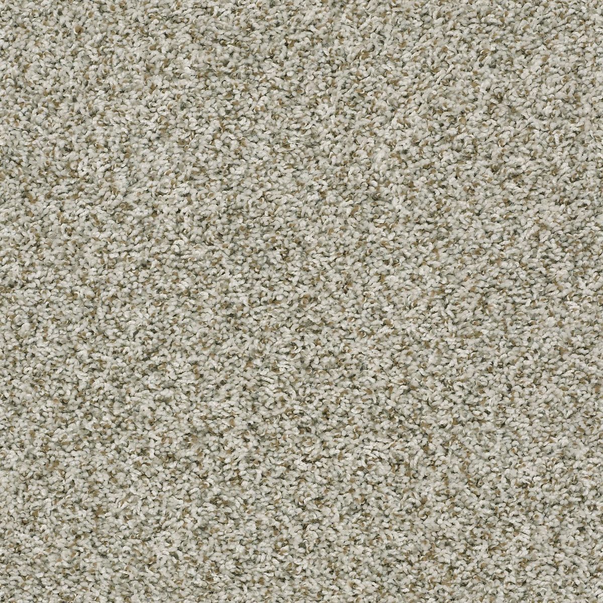 Shaw Floors Break Away (T) Stepping Stone flooring