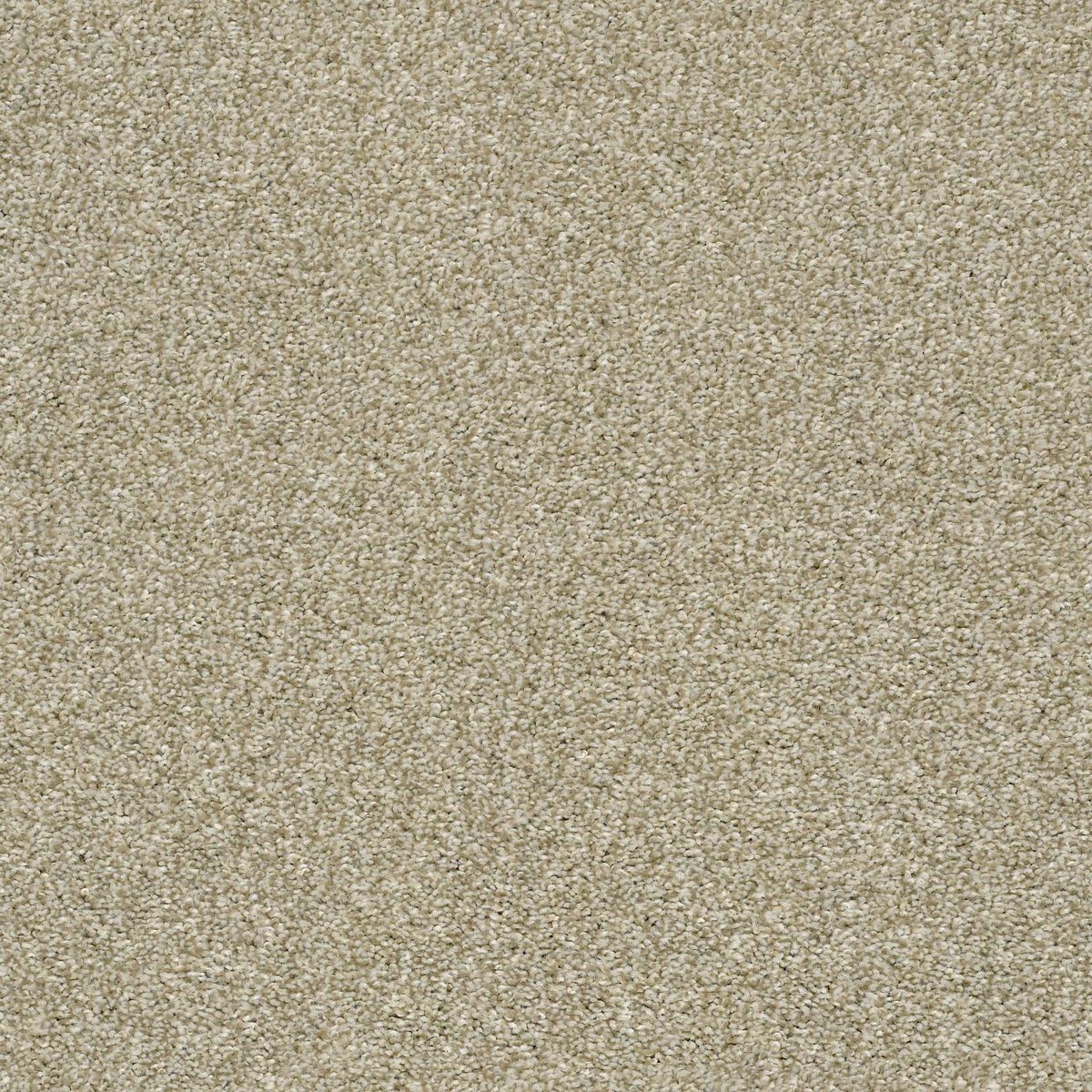 Shaw Floors Cabana Bay (T) Wheat Field flooring