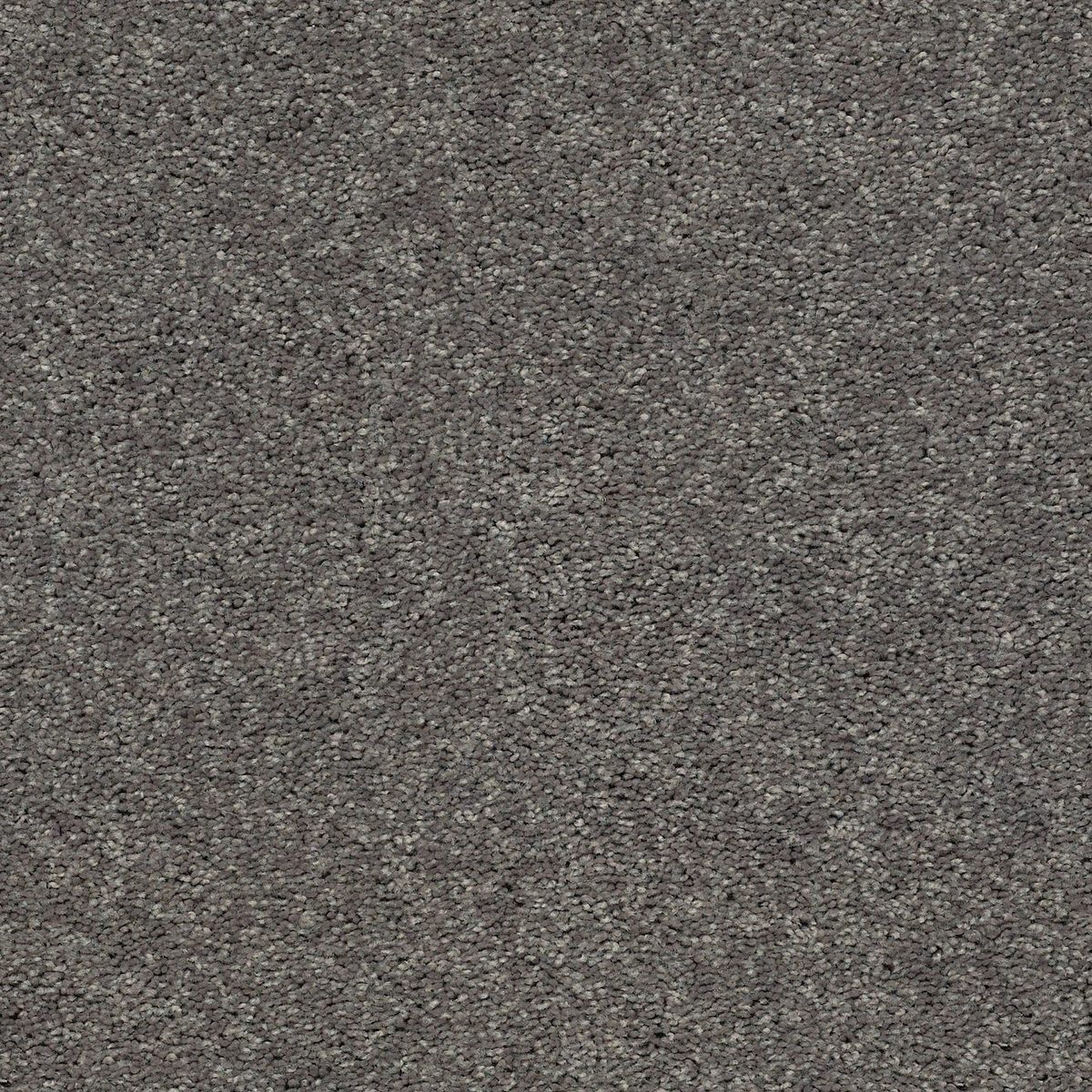 Shaw Floors Cabana Life (S) Tree Bark flooring