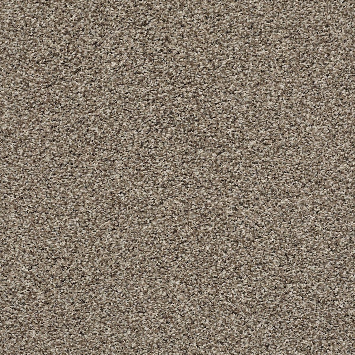 Shaw Floors Poised Chic Taupe flooring