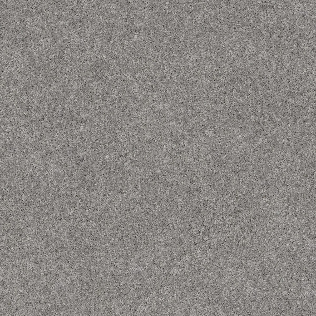 Shaw Floors Hot Topic Dolphin flooring