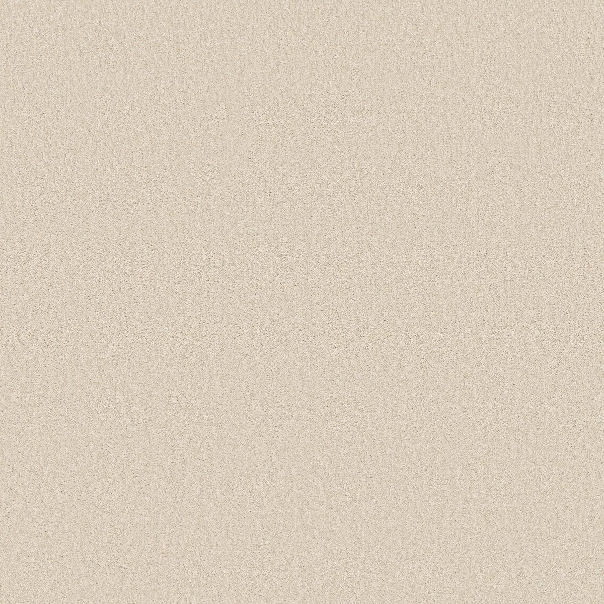 Shaw Floors Las Cruces Polar Bear flooring
