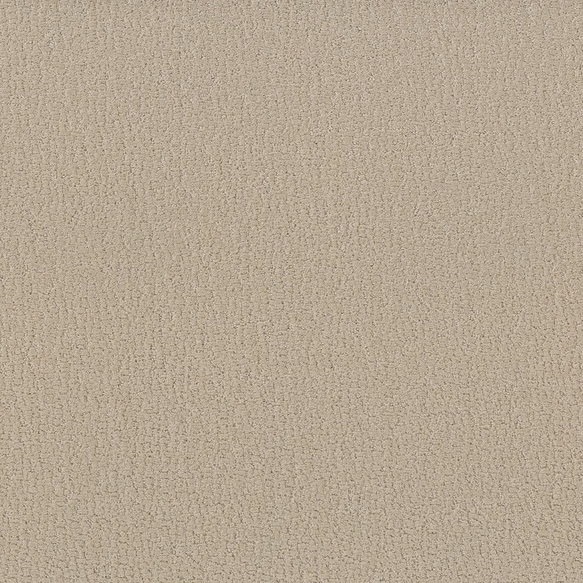 Shaw Floors Studio Set Twine flooring