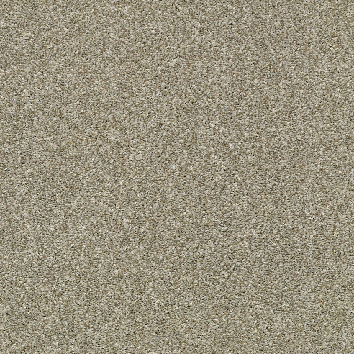 Shaw Floors Cabana Life (T) Pebble Creek flooring