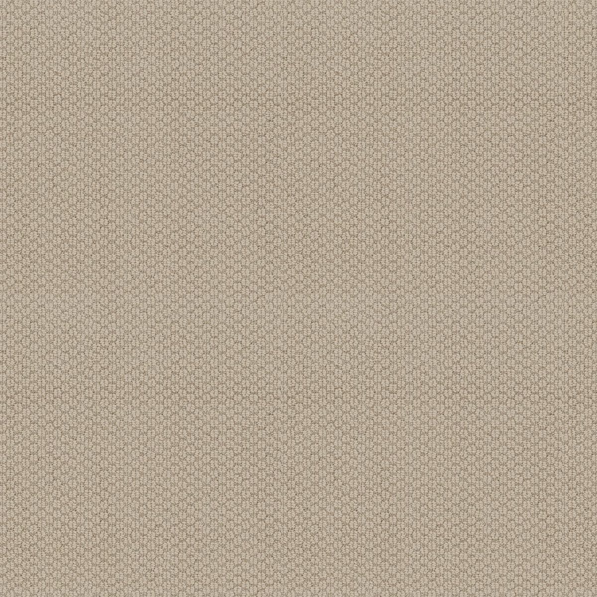 Shaw Floors Cathedral Hill II Creampuff flooring