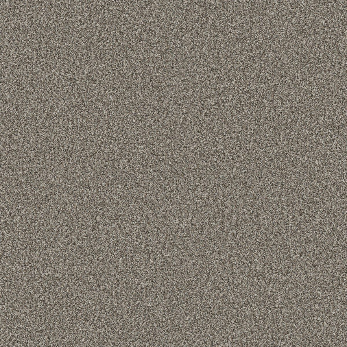 Shaw Floors Yes You Can I 12' Chic Greige flooring
