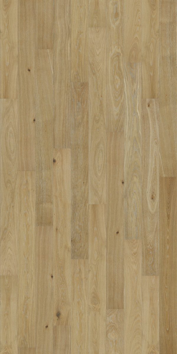 Stonewood Nouvelle — Dawning Oak Engineered Hardwood sample