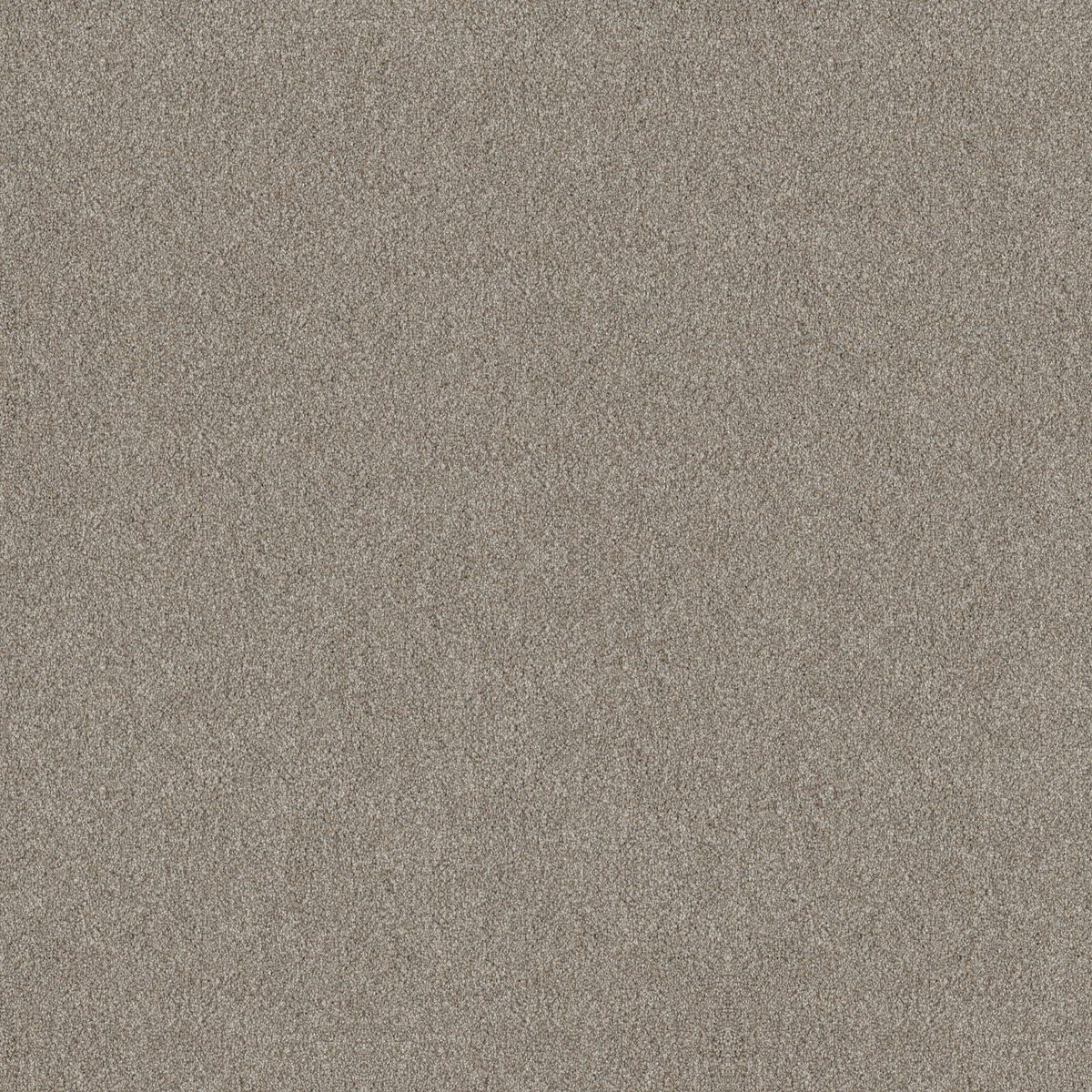 Shaw Floors TruSplendor Lady Liberty flooring