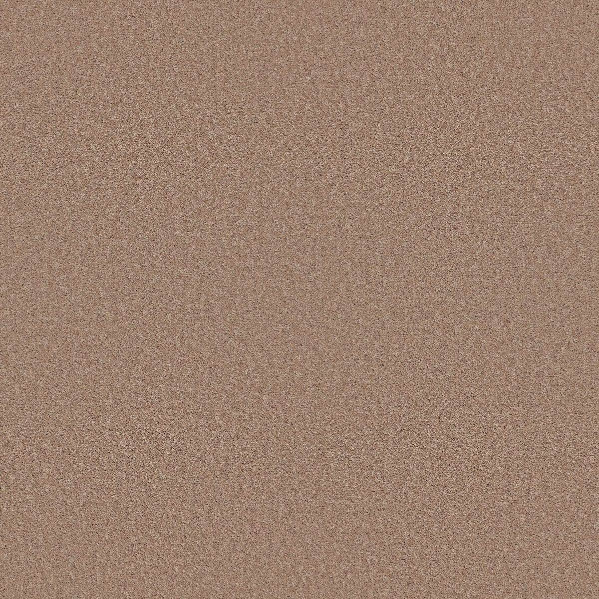 Shaw Floors Las Cruces Copper Moon flooring