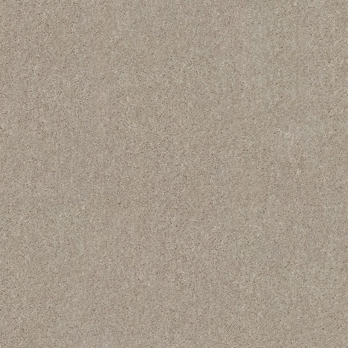 Shaw Floors Hot Topic Sugar Cookie flooring
