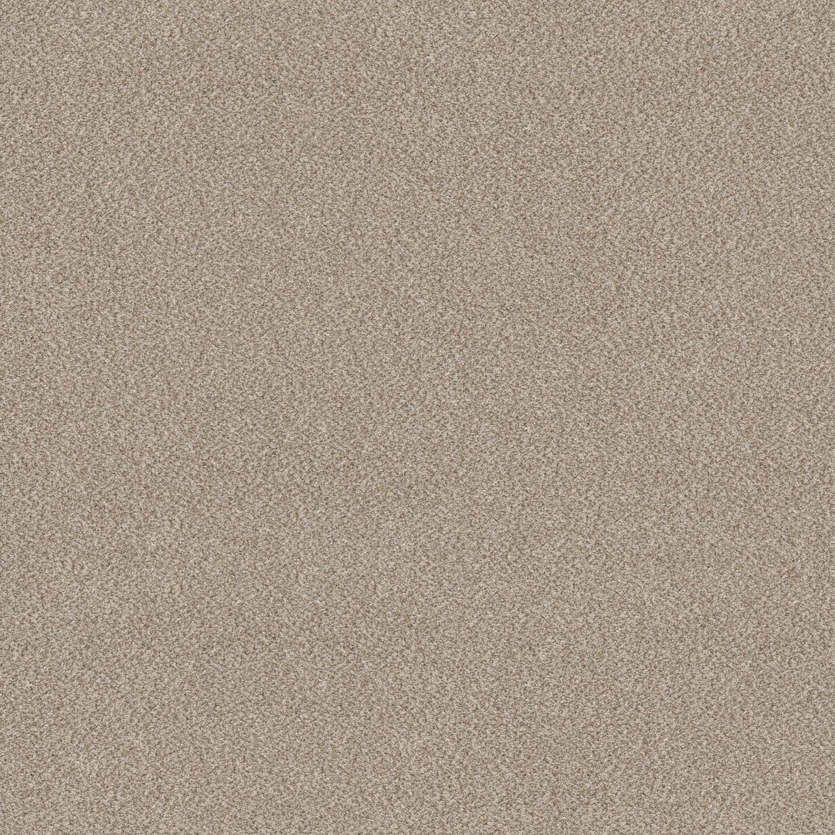 Shaw Floors TruSplendor Mist flooring