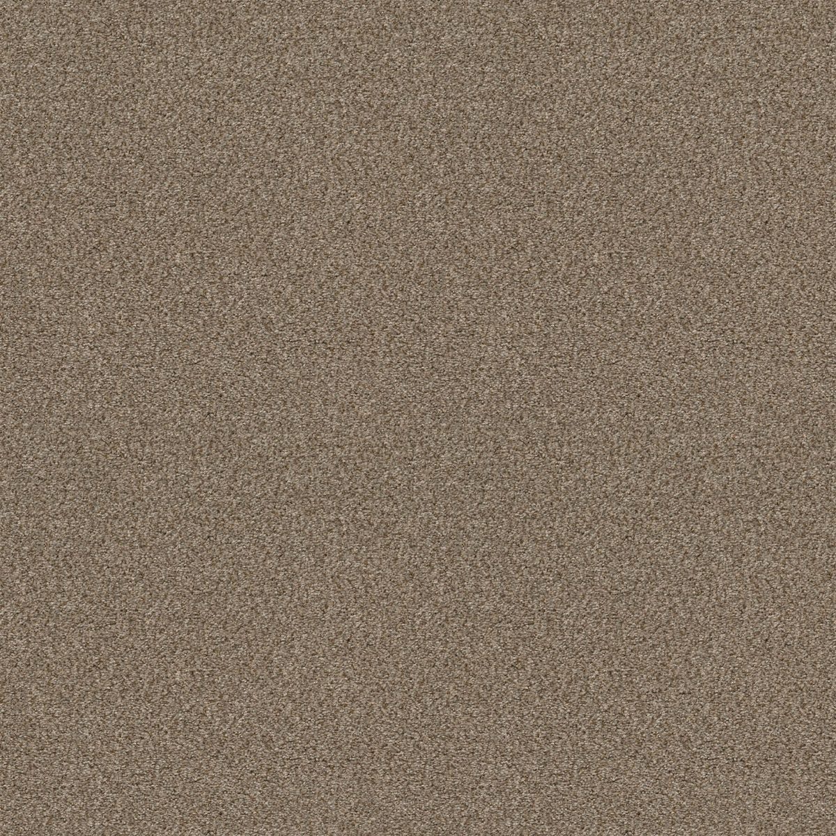 Shaw Floors Cabana Life (B) Brown Reed flooring