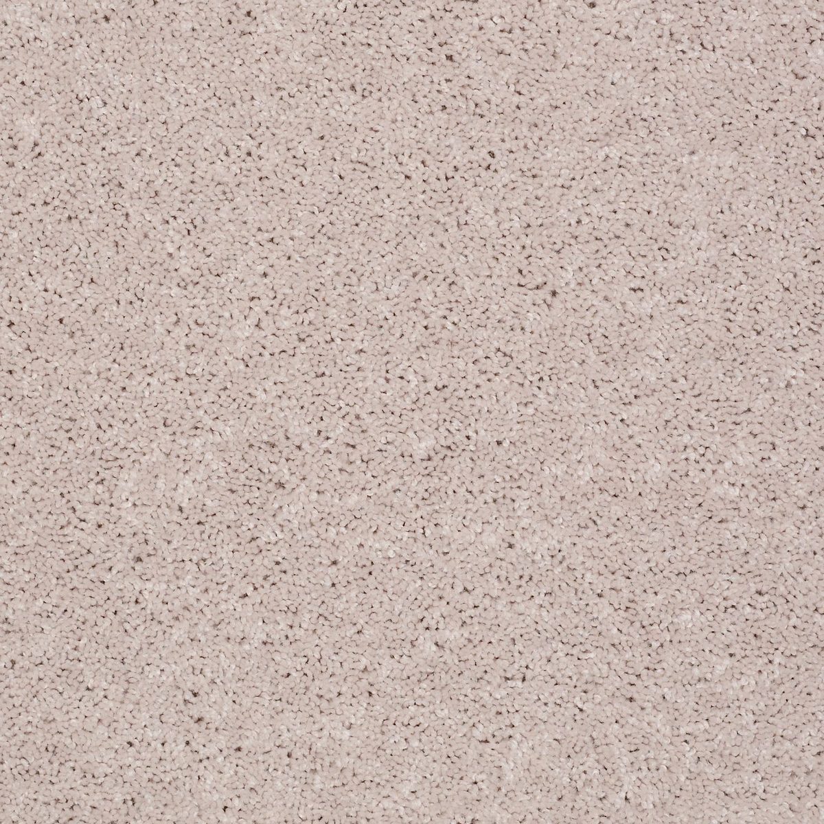 Shaw Floors All Star Weekend II Angel Cloud flooring