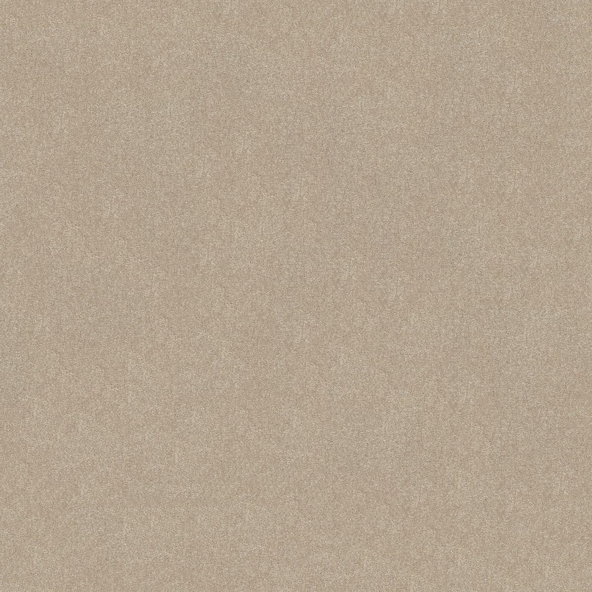 Shaw Floors Easy Spirit II Dreamy flooring