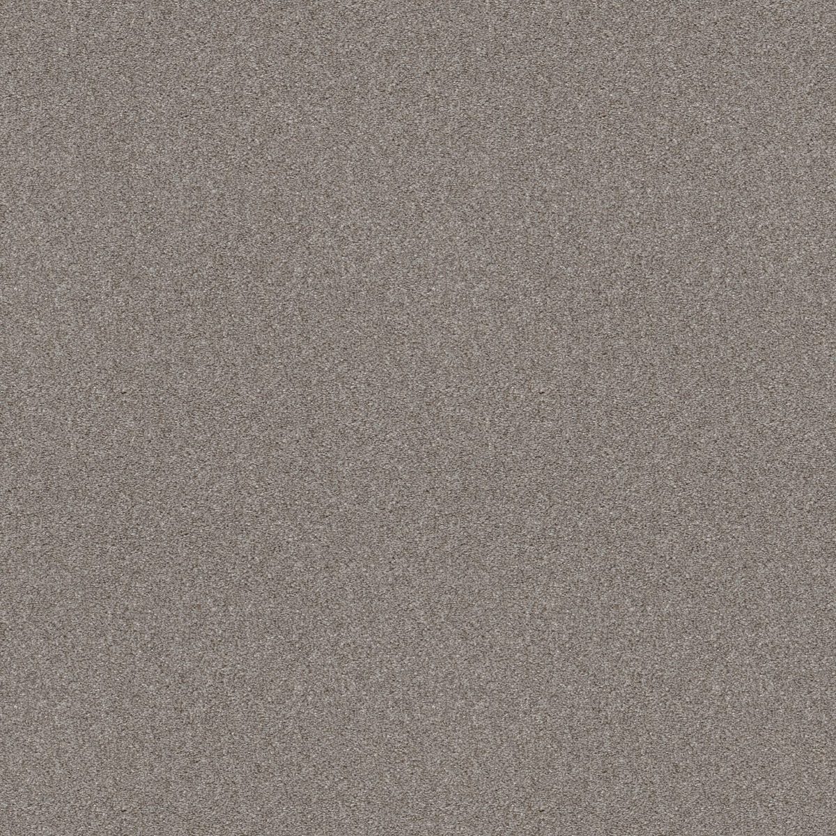 Shaw Floors Attainable (Tonal) Clay flooring