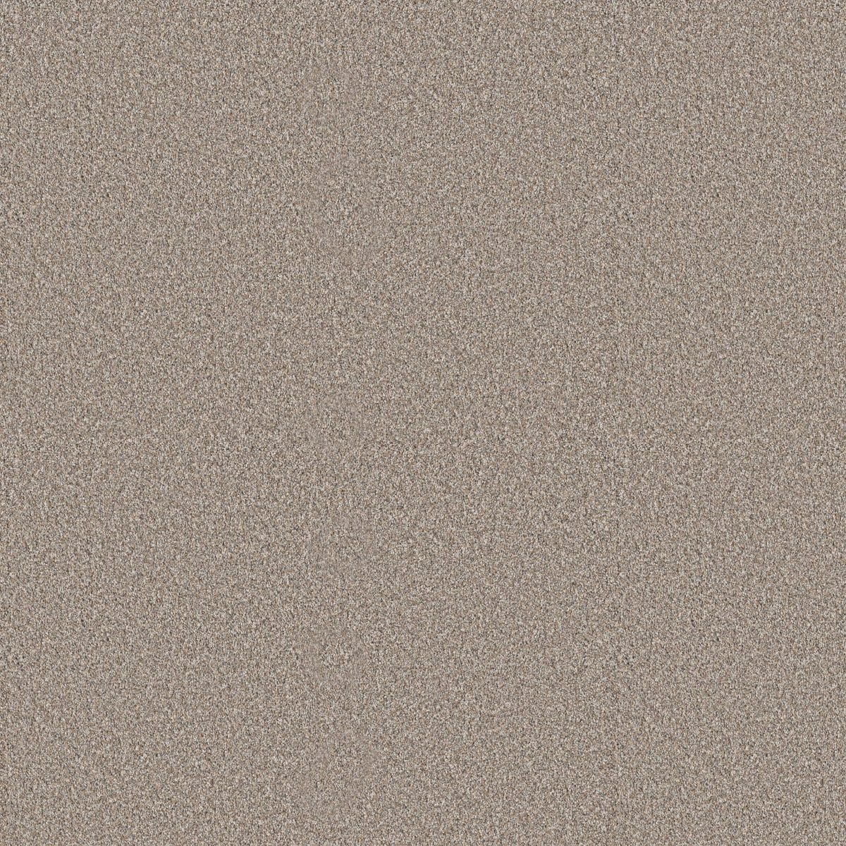Shaw Floors Elevated II Dawn Beige flooring
