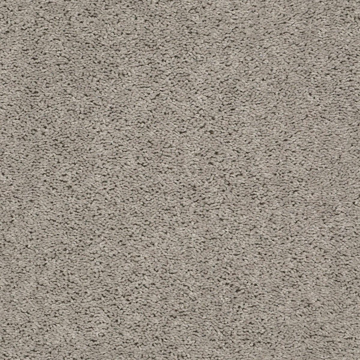 Shaw Floors Break Away (S) Whisper flooring