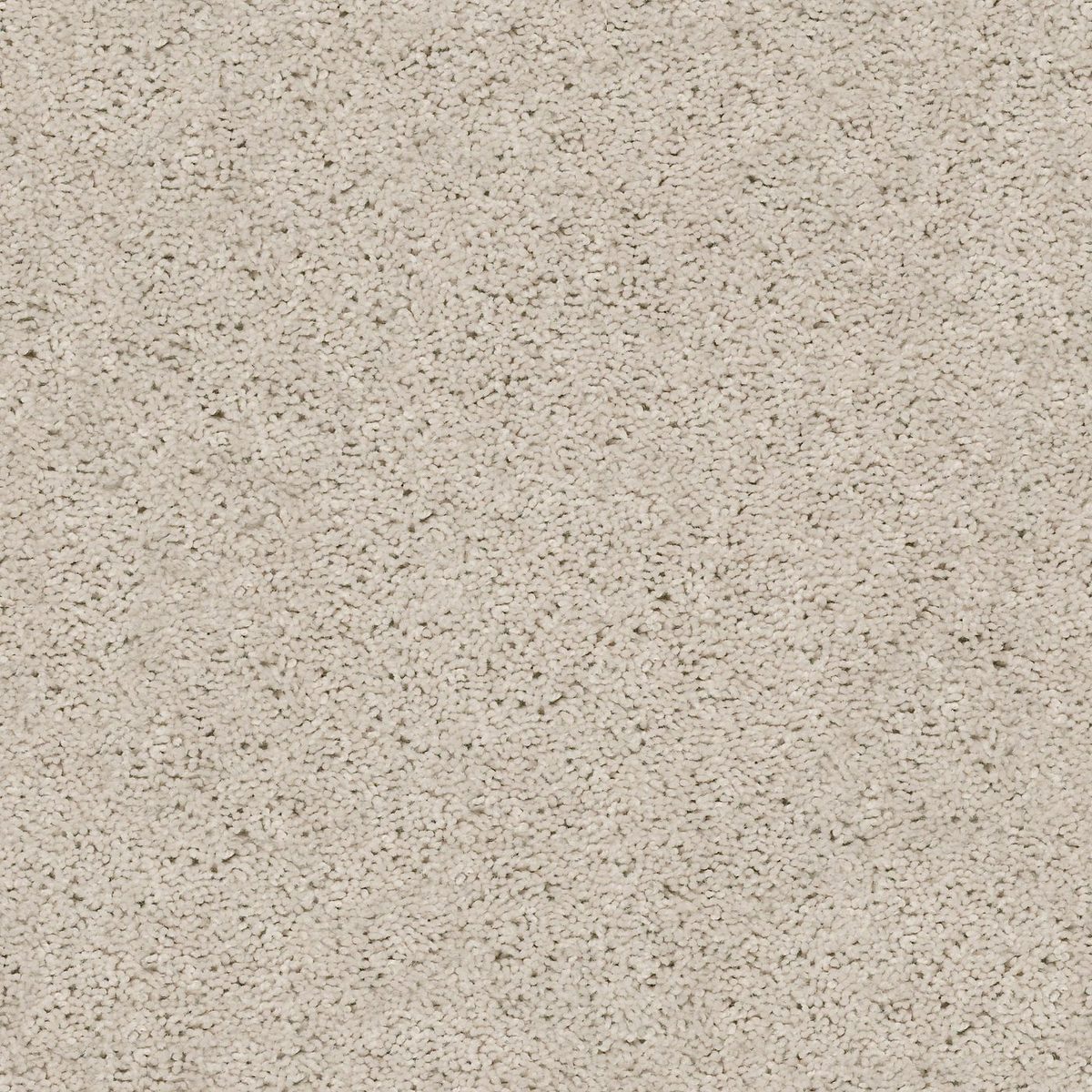 Shaw Floors Break Away (S) Winter White flooring