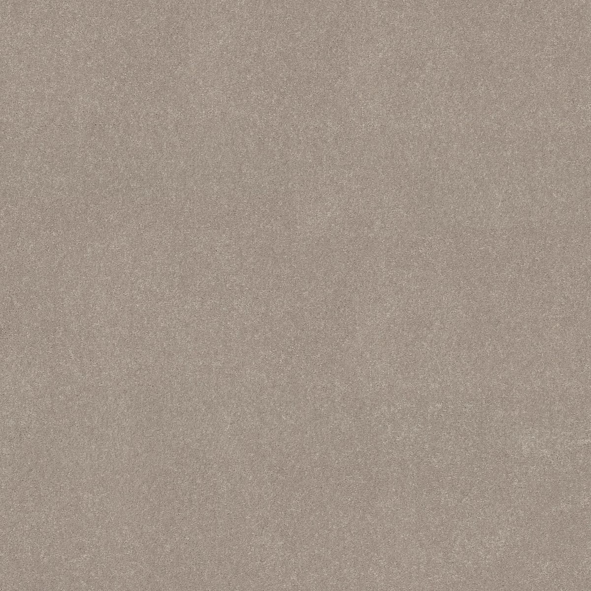 Shaw Floors Easy Spirit I Biscotti flooring