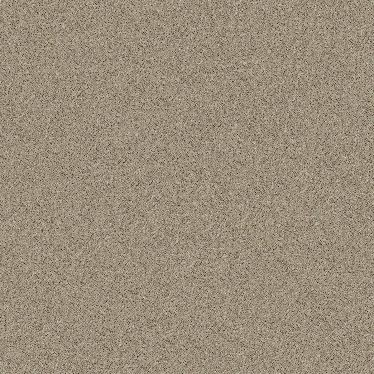 Shaw Floors Cabana Bay (S) Shifting Sand flooring
