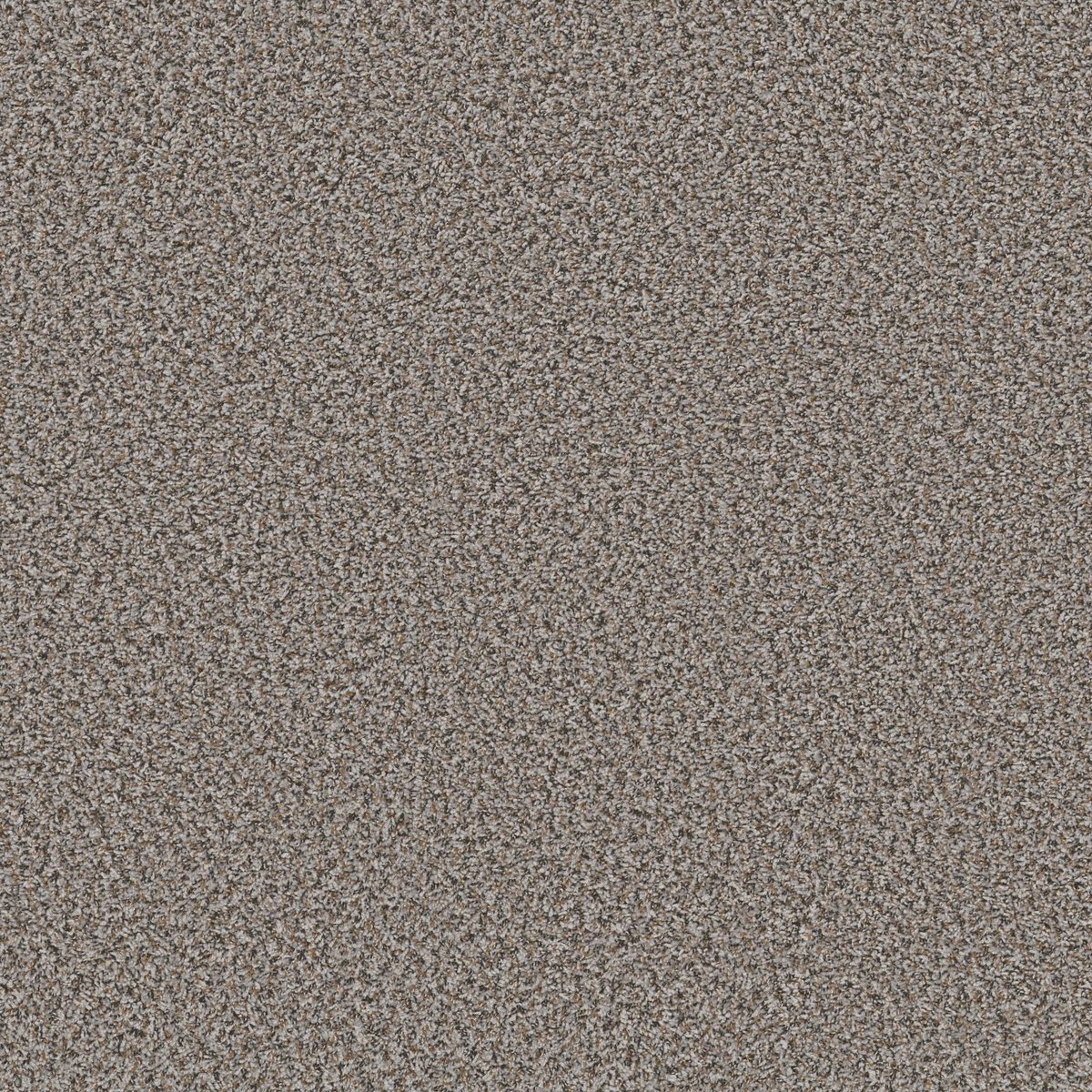 Shaw Floors Break Away (B) Fossil flooring
