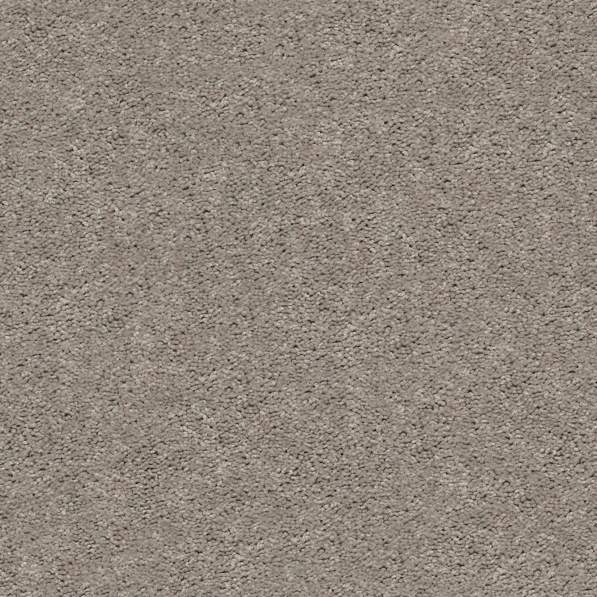 Shaw Floors Cabana Bay (S) Perfect Taupe flooring